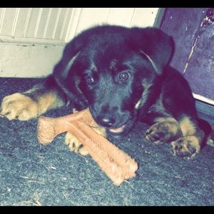 Meet your Posher, Lisa